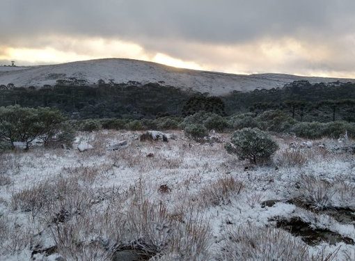 Neve nas primeiras horas da primavera branqueia paisagem no sul do Brasil