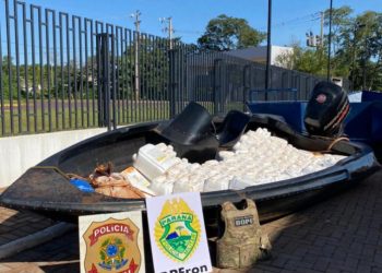 Apreensões de agroquímicos em 2022 é maior que em 2021