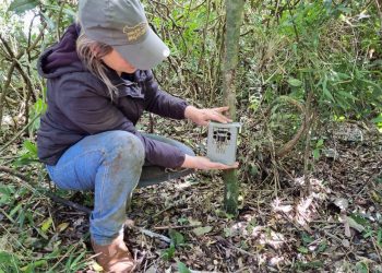 Equipamentos fotográficos são furtados do Projeto Onças do Iguaçu
