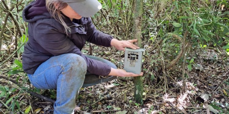 Equipamentos fotográficos são furtados do Projeto Onças do Iguaçu