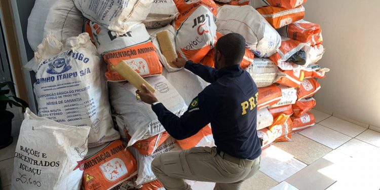 PRF apreende maconha na BR-277