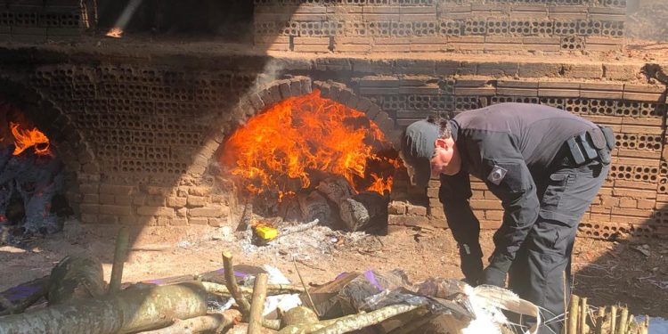 PF incinera mais de 4 toneladas de drogas apreendidas