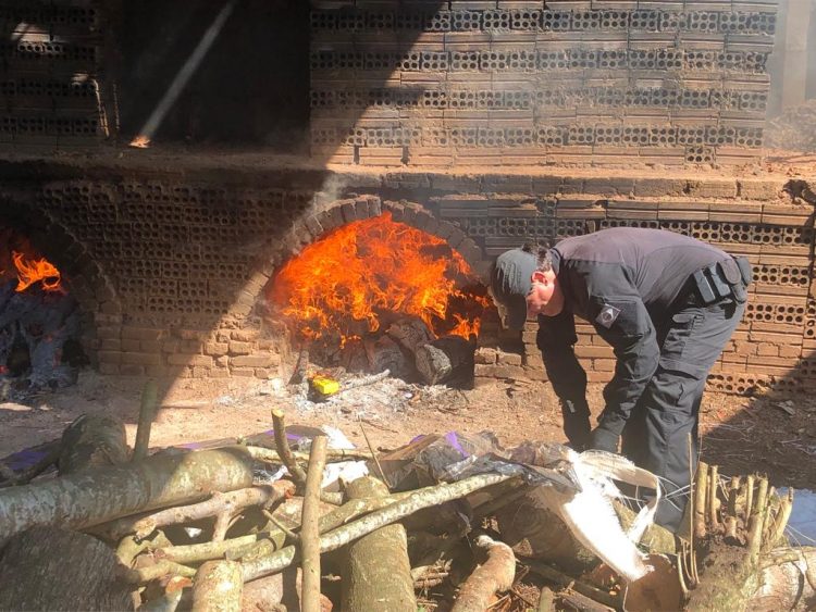 PF incinera mais de 4 toneladas de drogas apreendidas