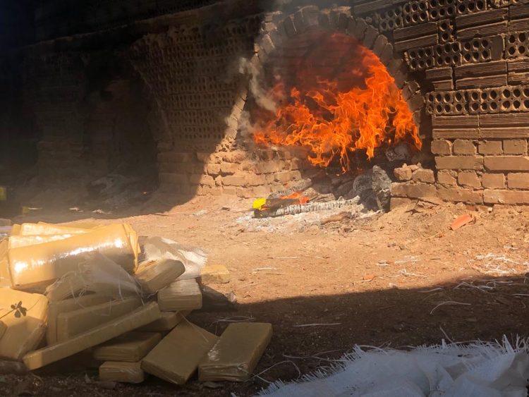 PF incinera mais de 4 toneladas de drogas apreendidas