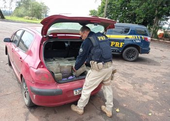PRF apreende 150 quilos de maconha em Santa Terezinha de Itaipu