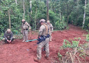 Forças de segurança deflagram a 5ª Fase da Operação Importunus