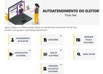 Saiba como imprimir o título de eleitor pela internet