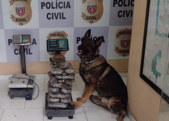 Denarc prende casal em Foz do Iguaçu acusado de esquema de tráfico