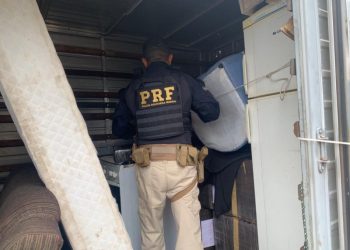 PRF apreende 1,2 tonelada de maconha em meio à mudança