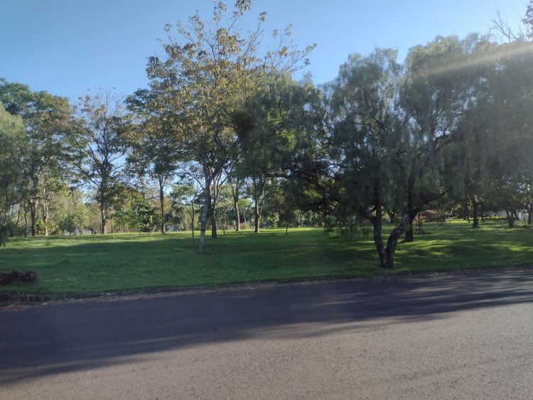 Escola X Praça:  A construção de uma escola municipal na praça do Jardim Social volta a ser discutida