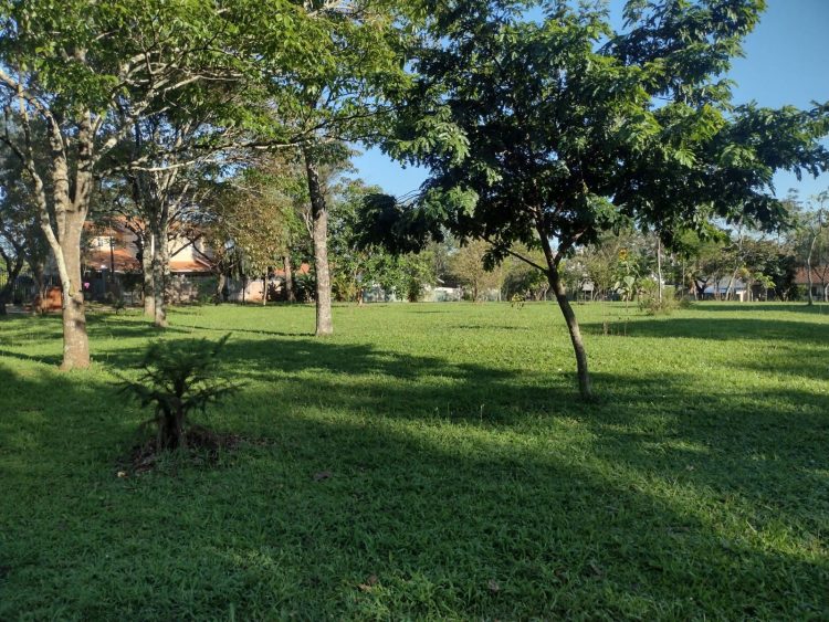 Escola X Praça:  A construção de uma escola municipal na praça do Jardim Social volta a ser discutida
