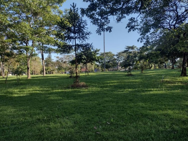 Escola X Praça:  A construção de uma escola municipal na praça do Jardim Social volta a ser discutida