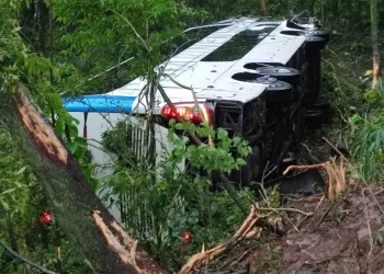Acidente entre ônibus e caminhão na BR-277 deixa sete feridos