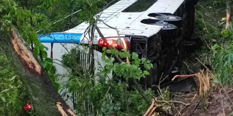 Acidente entre ônibus e caminhão na BR-277 deixa sete feridos