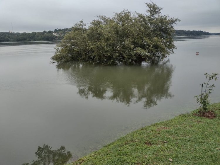 Nível do Rio Paraná alcança 112.56 metros na região da Ponte da Amizade