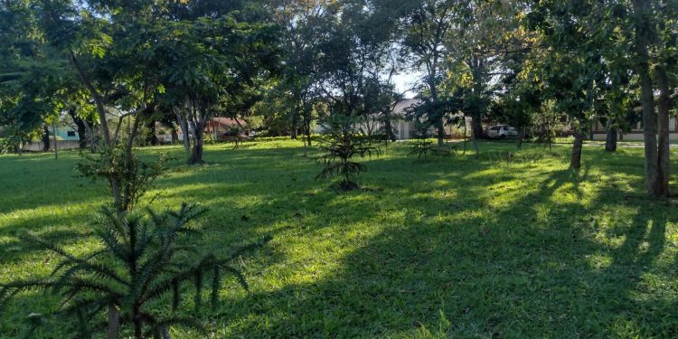 Escola X Praça:  A construção de uma escola municipal na praça do Jardim Social volta a ser discutida
