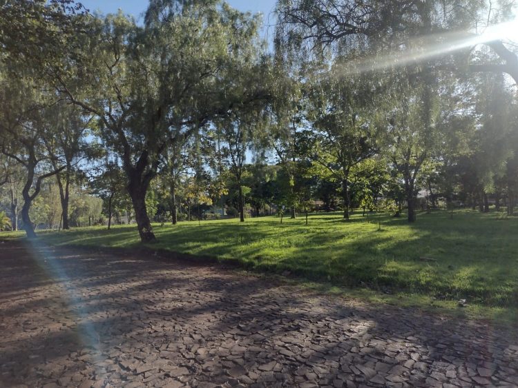 Escola X Praça:  A construção de uma escola municipal na praça do Jardim Social volta a ser discutida