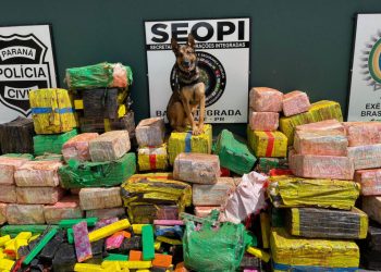 Polícia Civil, PRF e PM fazem a maior apreensão de drogas no ano