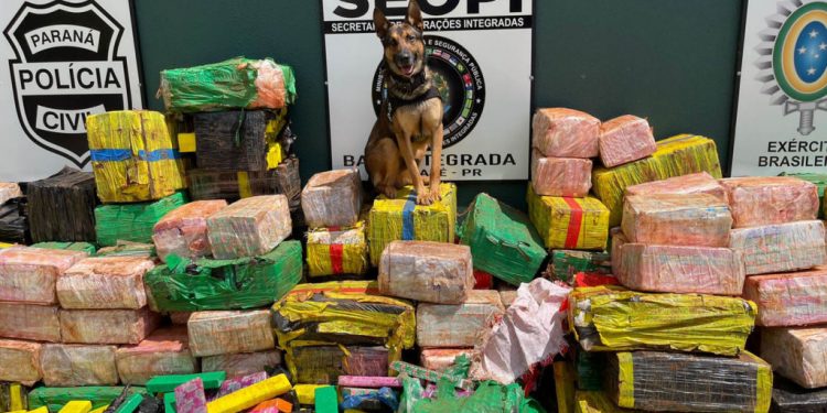 Polícia Civil, PRF e PM fazem a maior apreensão de drogas no ano