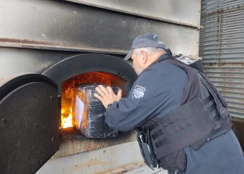 Polícia Civil incinera 1,5 tonelada de maconha