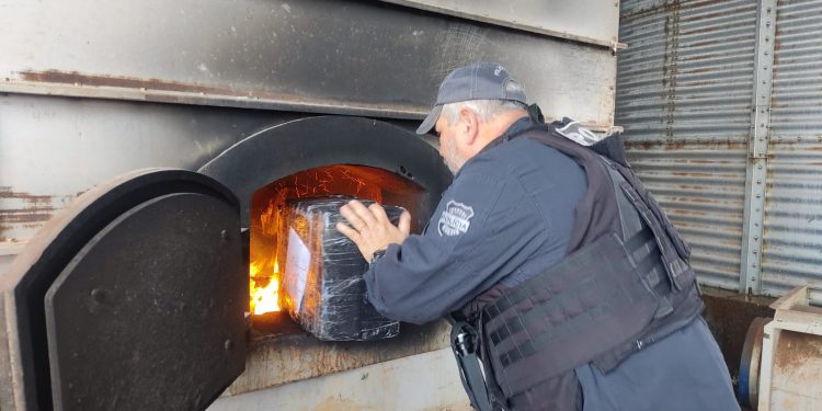 Polícia Civil incinera 1,5 tonelada de maconha