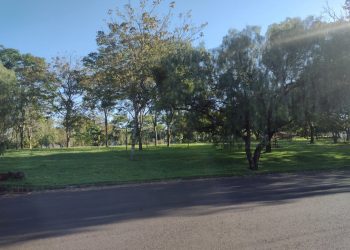 Todos querem a Praça das Aroeiras