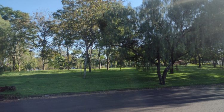 Todos querem a Praça das Aroeiras