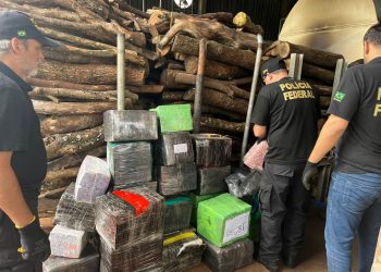 PF incinera 3,2 toneladas de drogas em Foz do Iguaçu