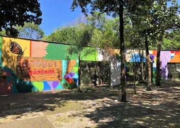 Prefeitura abre consulta pública sobre o Bosque Guarani