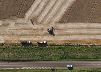 Paraná ultrapassa Rio Grande do Sul e vira quarta maior economia do Brasil
