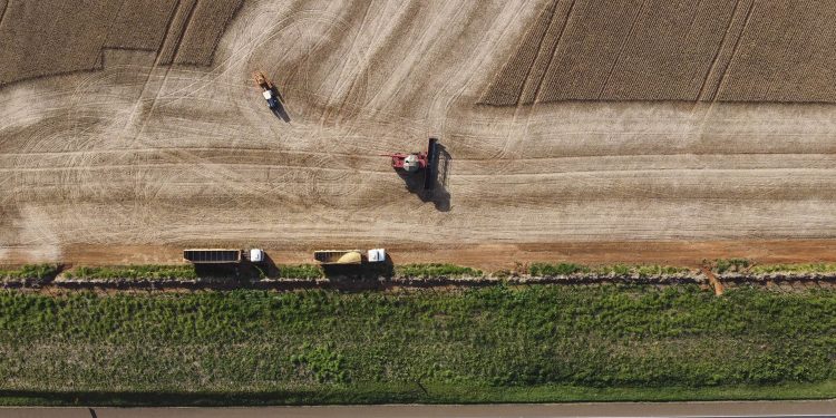 Paraná ultrapassa Rio Grande do Sul e vira quarta maior economia do Brasil