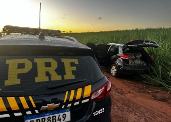 Em seis horas, PRF apreende mais de 1,5 tonelada de maconha no Paraná