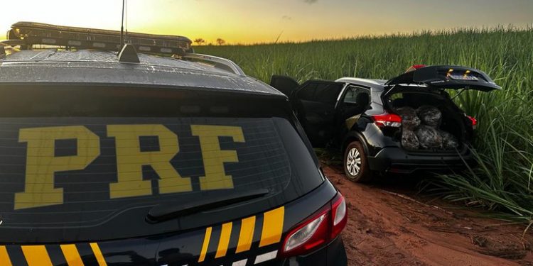 Em seis horas, PRF apreende mais de 1,5 tonelada de maconha no Paraná