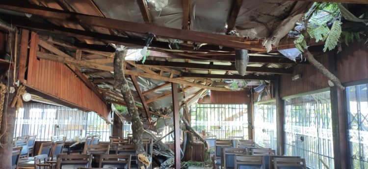 Árvore cai no telhado de restaurante na Vila Portes