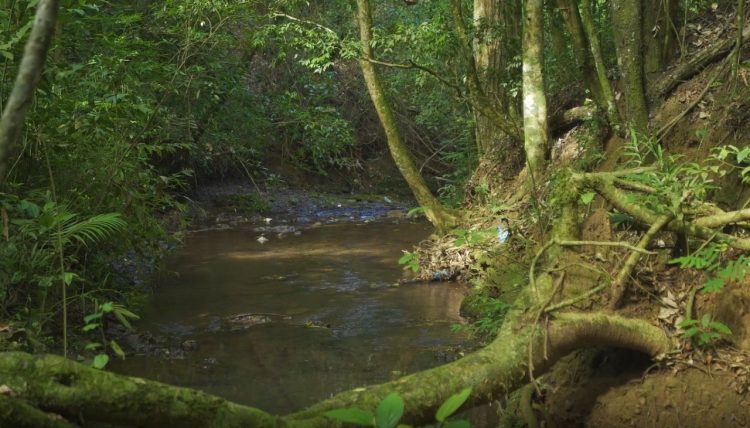 Foz do Iguaçu vai ganhar parque urbano com tecnologia 5.0