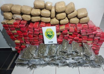 Equipe da Rotam apreende 260Kg de maconha em Aurora do Iguaçu