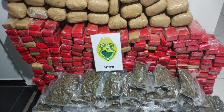 Equipe da Rotam apreende 260Kg de maconha em Aurora do Iguaçu