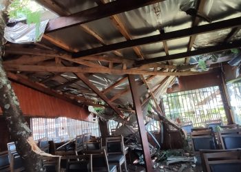 Árvore cai no telhado de restaurante na Vila Portes
