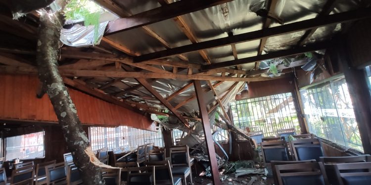 Árvore cai no telhado de restaurante na Vila Portes