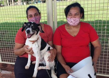 Estado atende cerca de 37 mil animais domésticos e silvestres em 2022