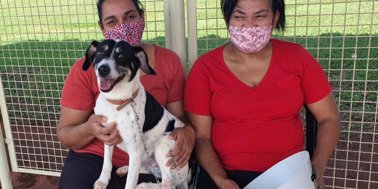 Estado atende cerca de 37 mil animais domésticos e silvestres em 2022