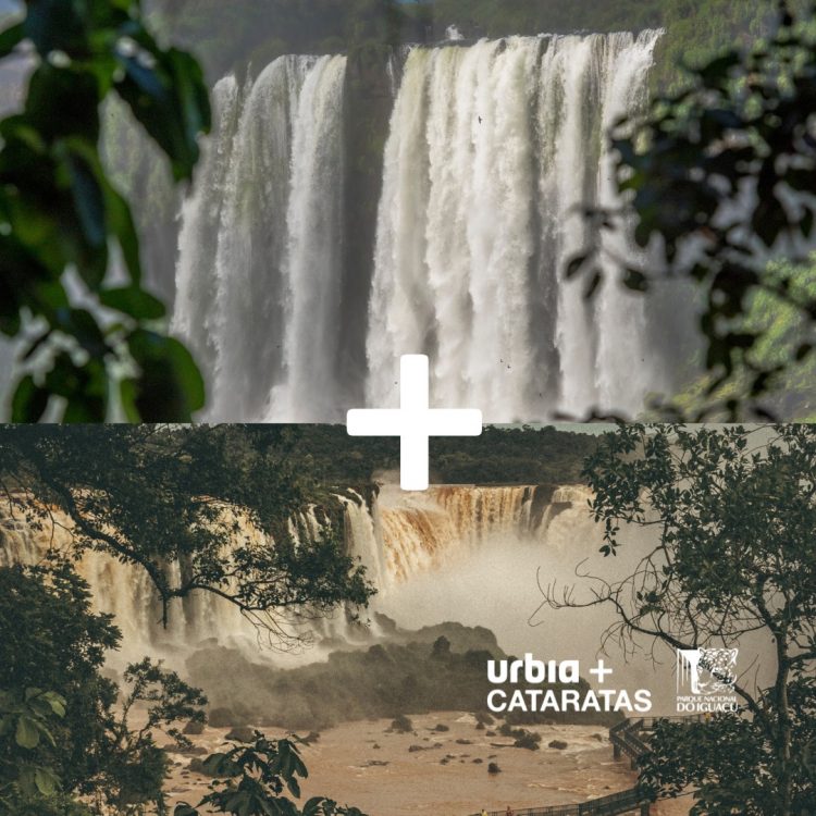 23 motivos para visitar o Parque Nacional do Iguaçu em 2023