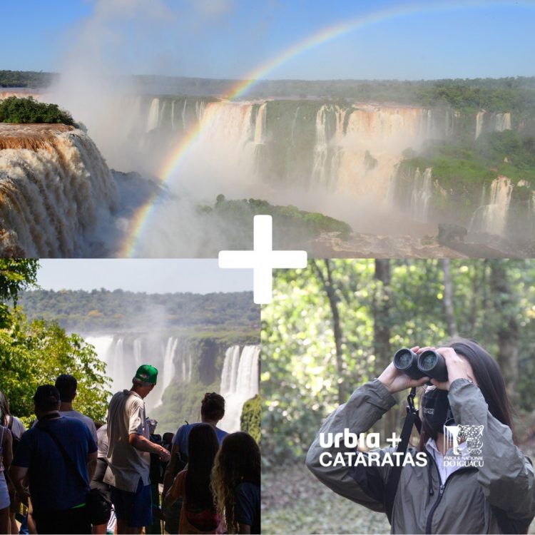 23 motivos para visitar o Parque Nacional do Iguaçu em 2023