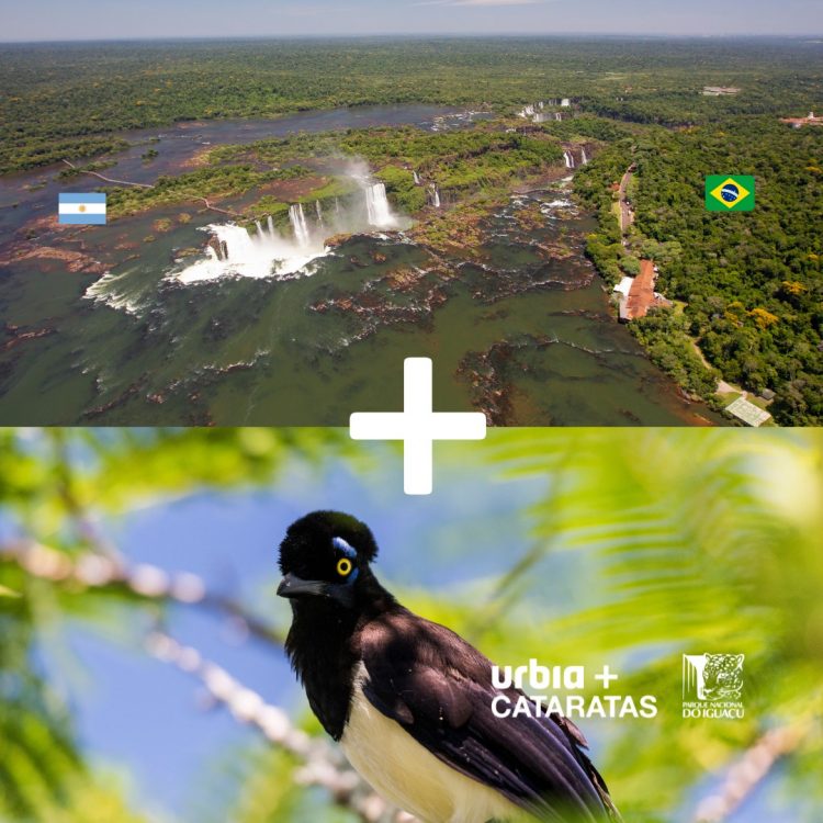 23 motivos para visitar o Parque Nacional do Iguaçu em 2023