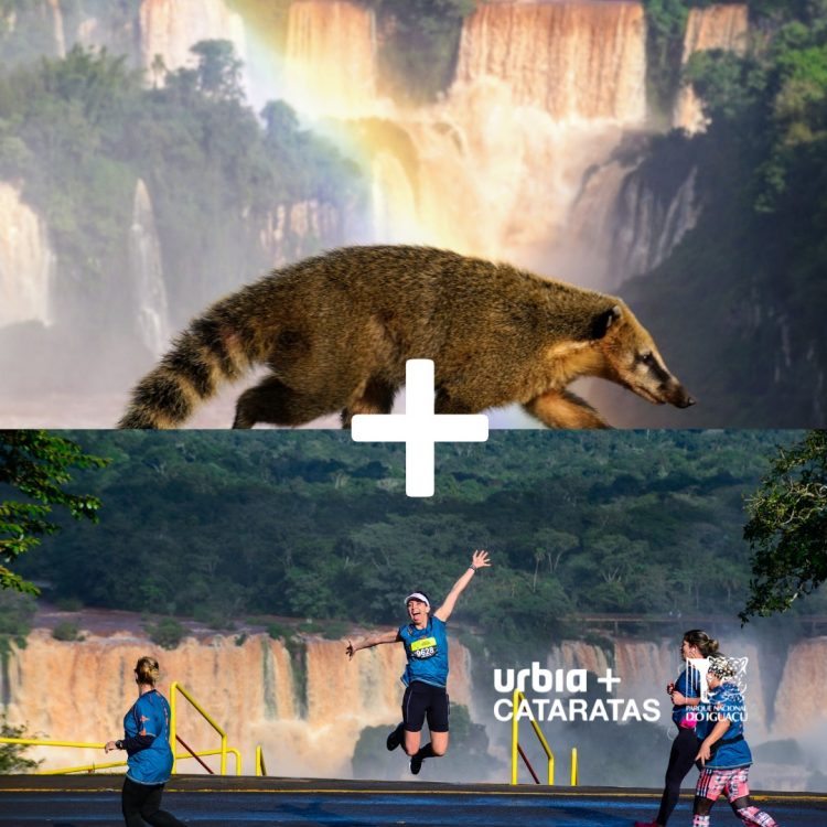 23 motivos para visitar o Parque Nacional do Iguaçu em 2023