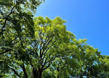 Previsão do Tempo 05/01/2023