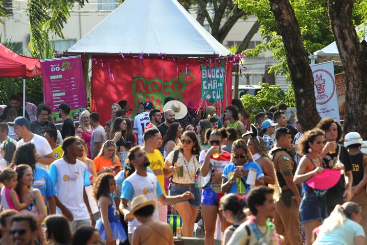 Mais de 35 mil pessoas participaram do carnaval na Praça da Paz
