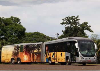 Visac alerta: Estudantes precisam atualizar dados para garantir desconto na passagem