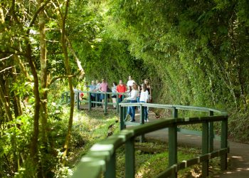 Mais tempo para fugir da folia e aproveitar o carnaval no Parque Nacional do Iguaçu