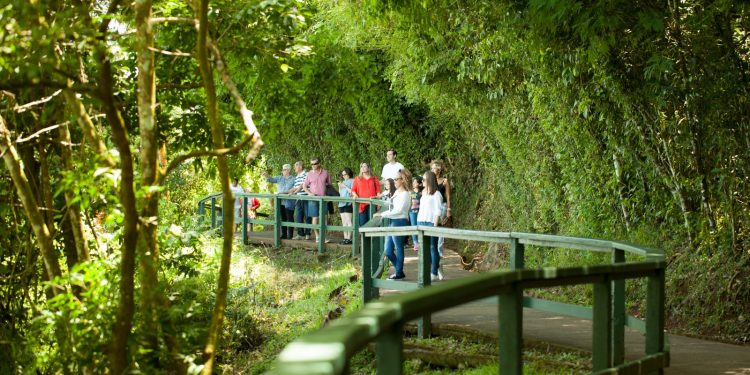 Mais tempo para fugir da folia e aproveitar o carnaval no Parque Nacional do Iguaçu